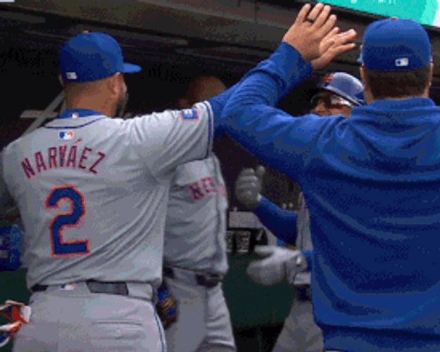 Francisco Lindor Hugging Team GIF