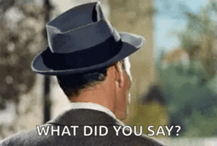 Frank Sinatra What Did You Say GIF