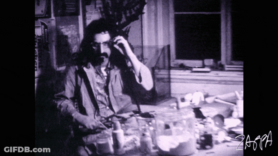 Frank Zappa 60S Music Shades GIF