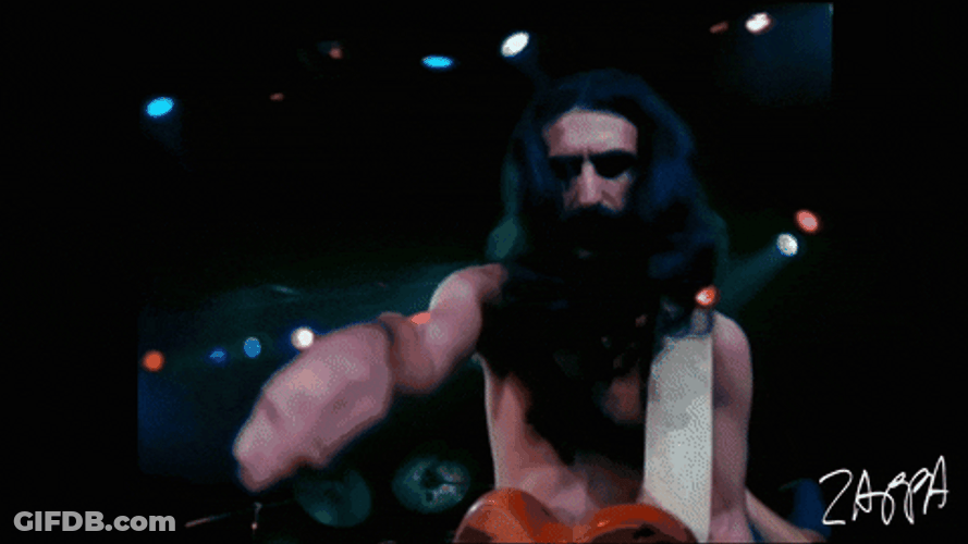 Frank Zappa Concert Rolling Reaction GIF