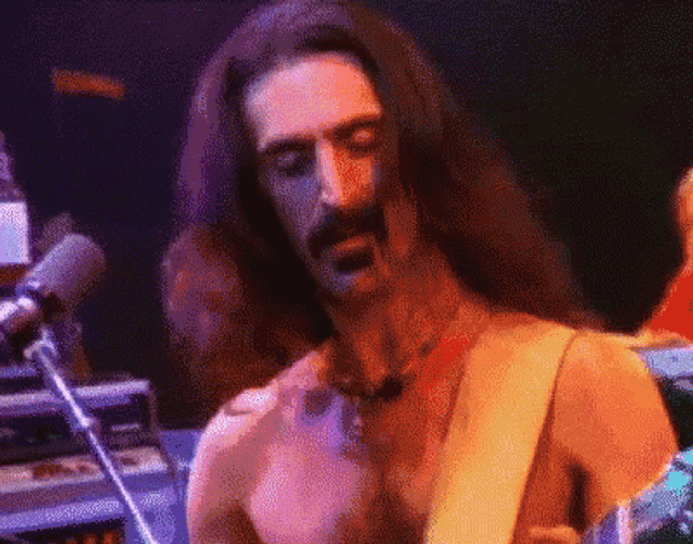 Frank Zappa Guitar GIF