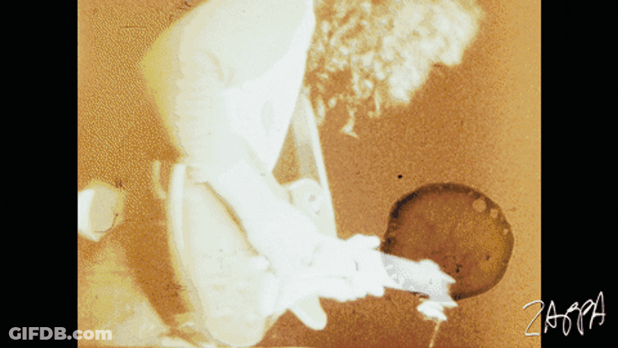 Frank Zappa Rock And Roll Band GIF