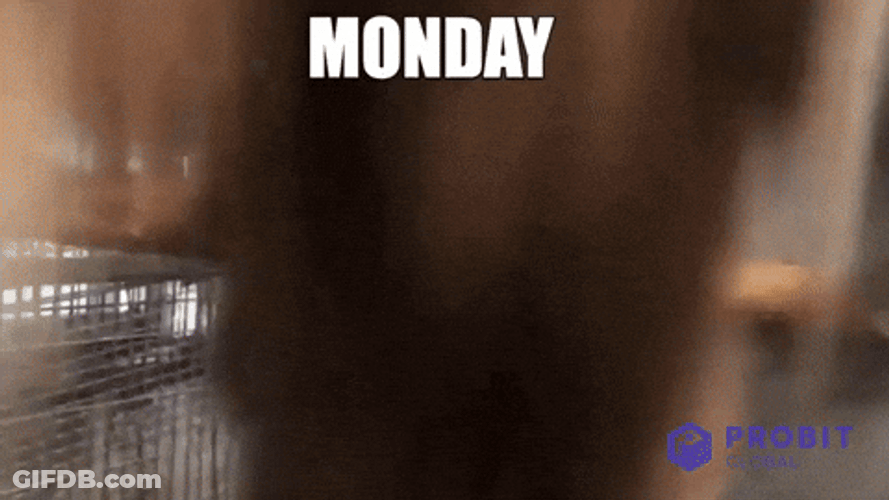 Frantic Monday Spinning Monkey Meme GIF