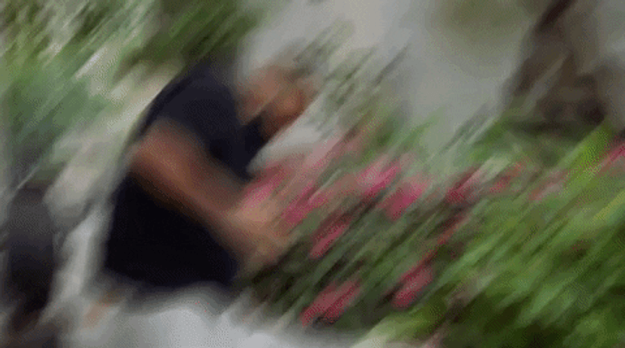 Freaky Friday DJ Khaled GIF