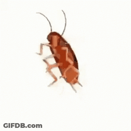 Fredbear Dancing Cockroach Jump GIF