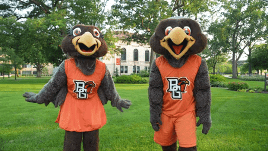 Freddie And Frieda The Falcon GIF