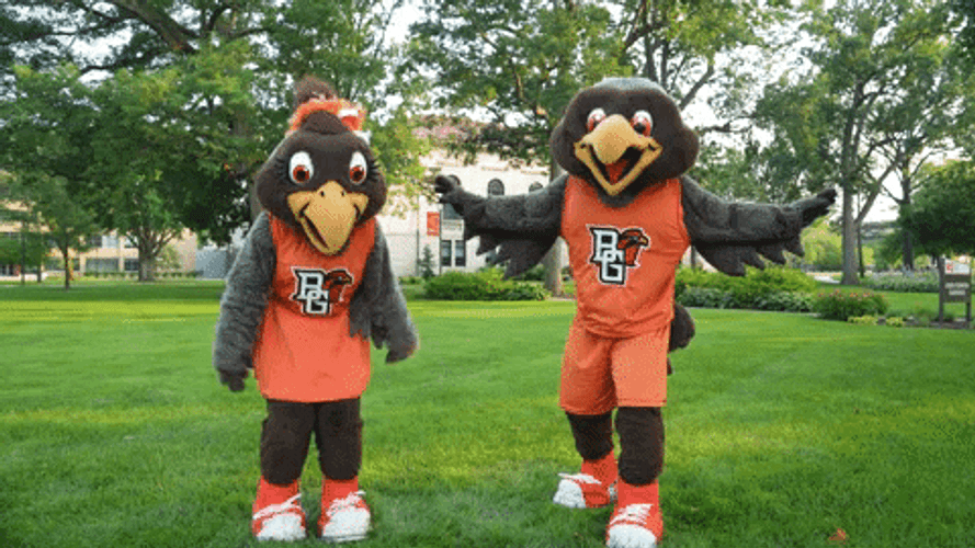 Freddie And Frieda The Falcon Flying GIF