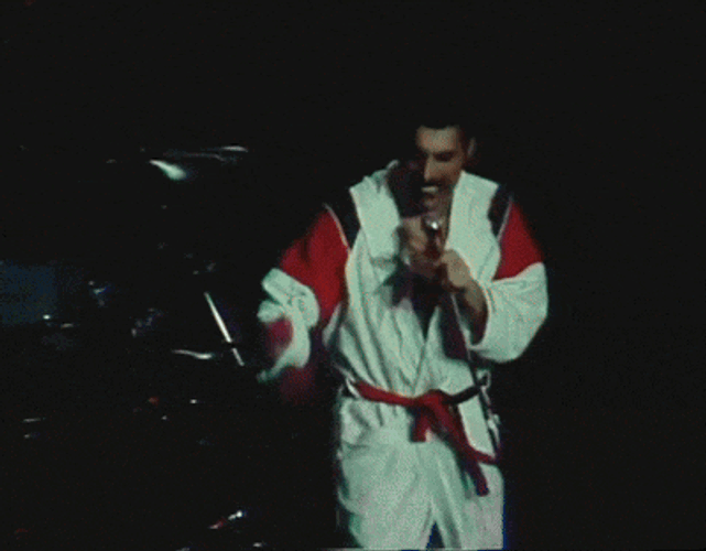 Freddie Freddie Mercury GIF