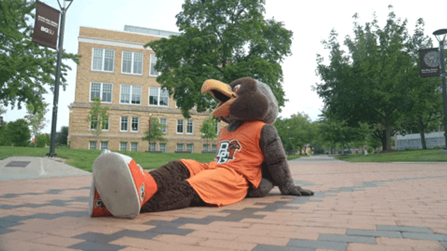 Freddie The Falcon Chilling GIF