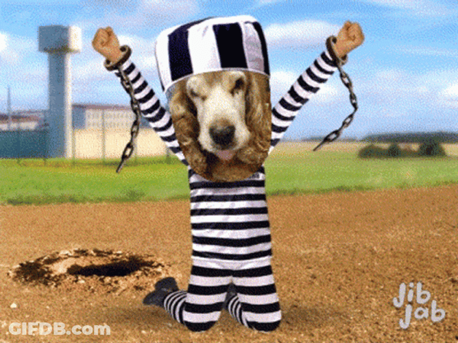 Free At Last GIF