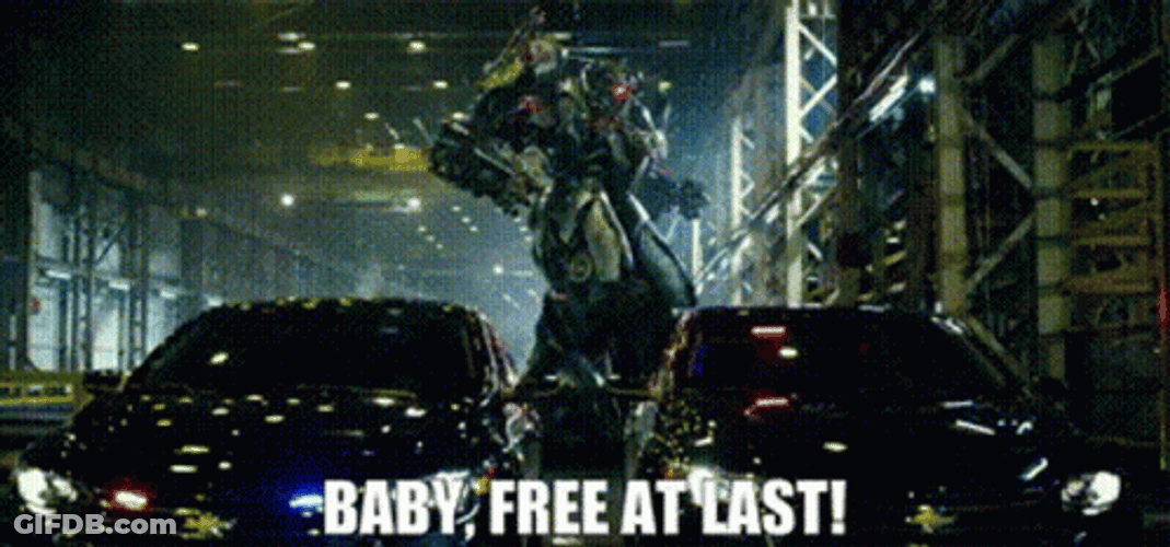 Free At Last GIF