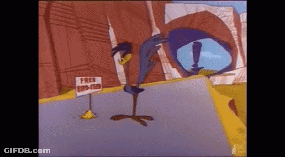 Free Bird Seed Sign Of Road Runner GIF