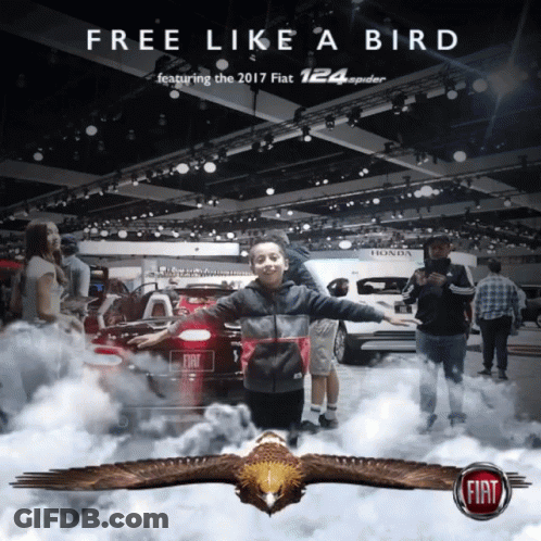 Free Like A Bird Fiat 124 Spider Poster GIF