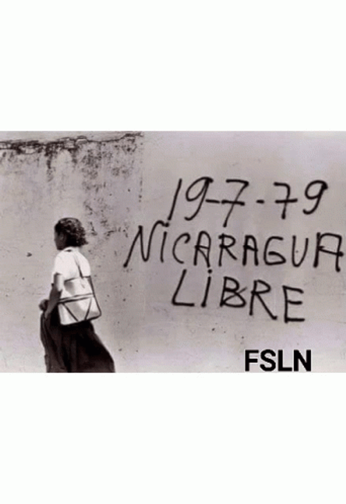 Free Nicaragua FSLN GIF