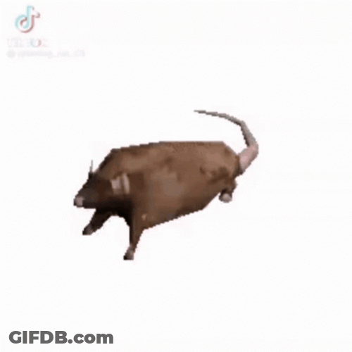 Free Spinning Chubby Rat Animation GIF