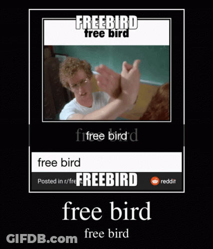 Freebird Free Bird Poster GIF