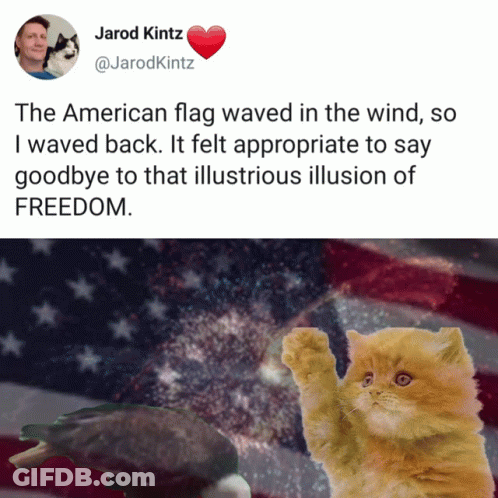 Freedom Cat GIF
