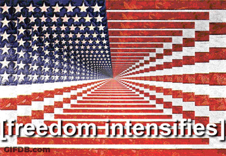 Freedom Intensifies Murica GIF