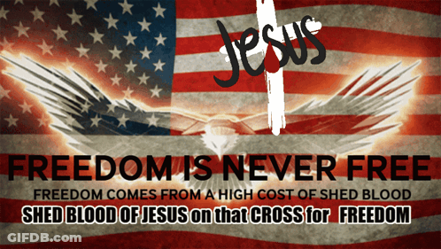 Freedom Is Never Free Poster American Flag GIF