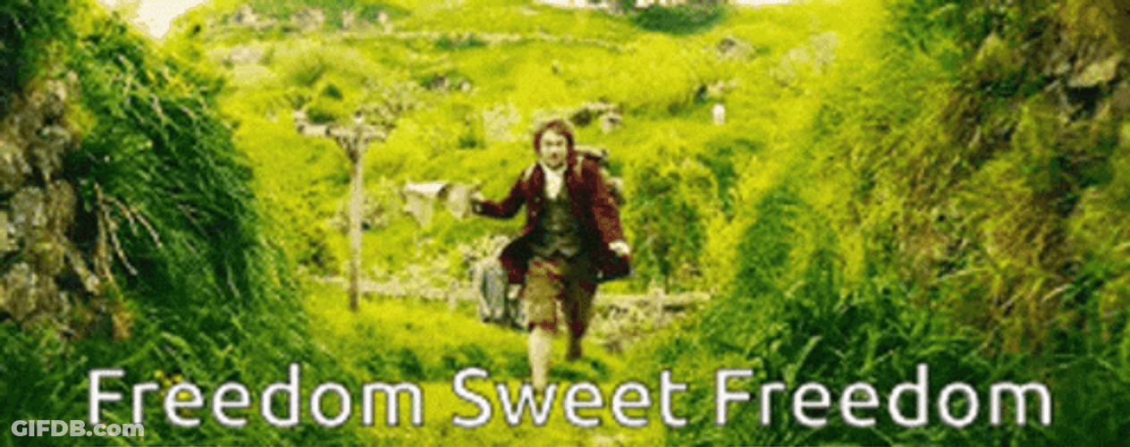 Freedom Sweet Freedom Ron Weasley GIF