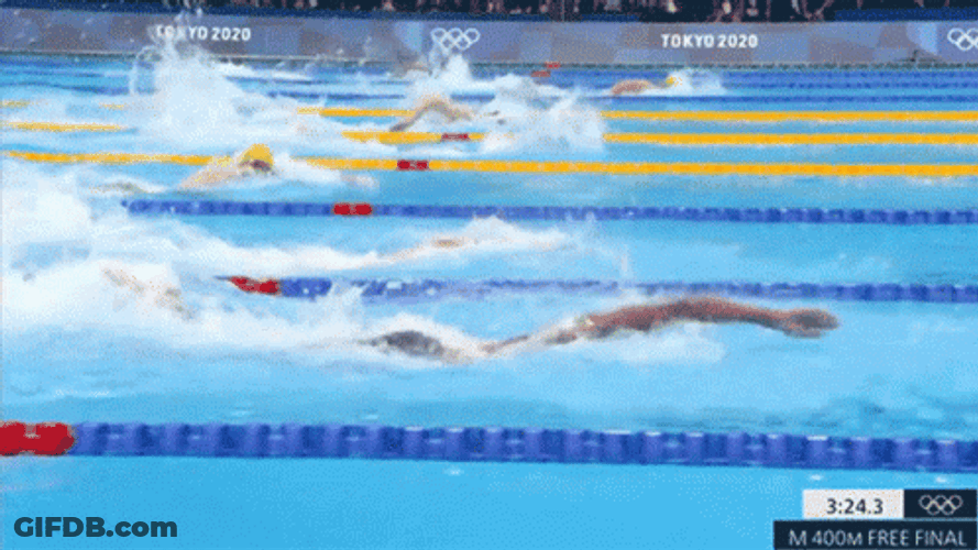 Freestyle Swimming Olympics GIF