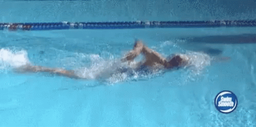 Freestyle Swimming Technique GIF