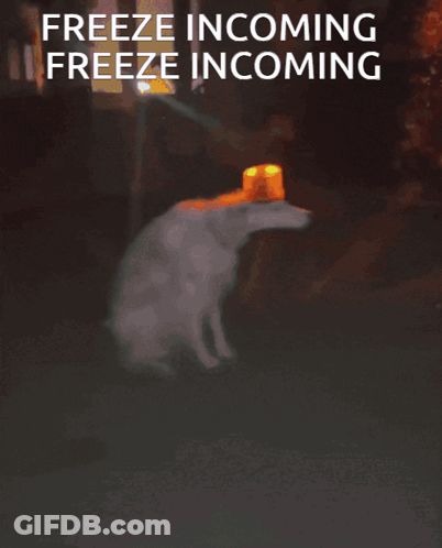 Freeze Incoming GIF