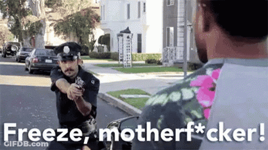Freeze This Is Police GIF