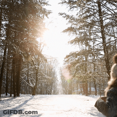 Freezing Winter Solstice Dog Running GIF