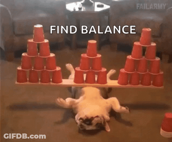 French Bulldog Find Balance Stacks GIF
