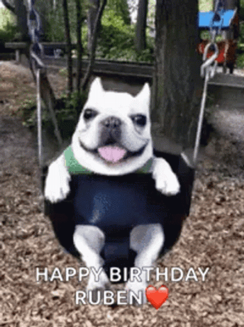 French Bulldog Happy Birthday Swing GIF