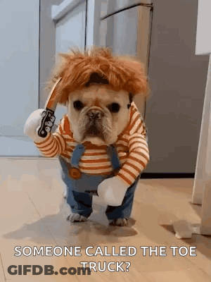 French Bulldog In Costume Holding Knife GIF