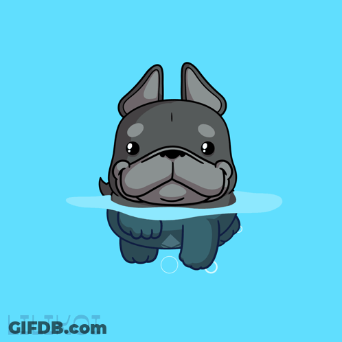 French Bulldog In Water With Lilikoi GIF