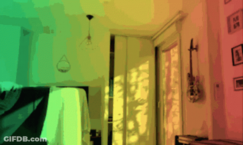 French Bulldog Light Dance Party GIF