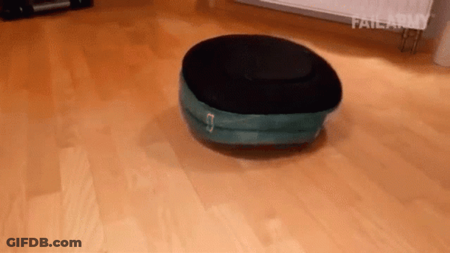 French Bulldog Play Time GIF