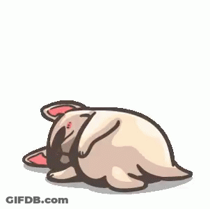 French Bulldog Standing On Hind Legs GIF