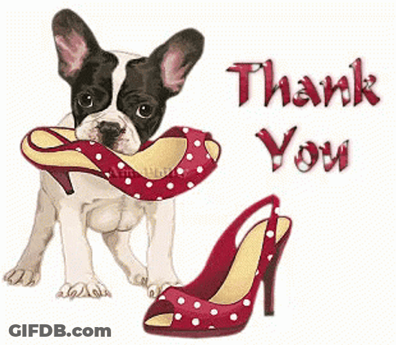 French Bulldog Thank You Red Shoes GIF