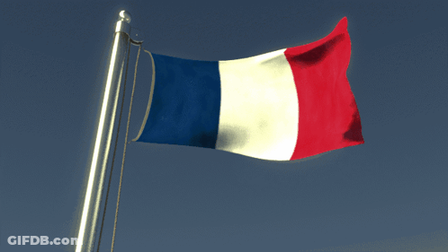 French Flag Flying In Wind Against Blue Sky GIF
