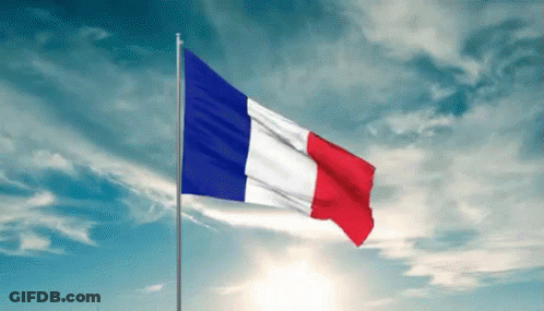 French Flag Waving Against Blue Sky GIF
