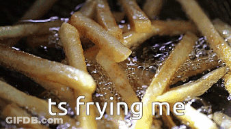 French Fries Are Being Cooked In A Fryer With The Words Ts Frying Me GIF