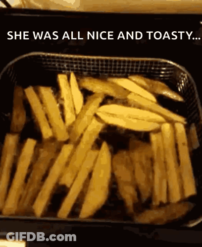 French Fries In A Fryer With The Words She Was All Nice And Toasty GIF