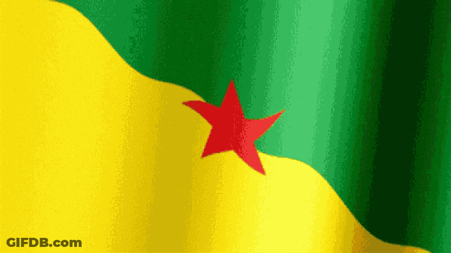 French Guiana Flag Gif GIF