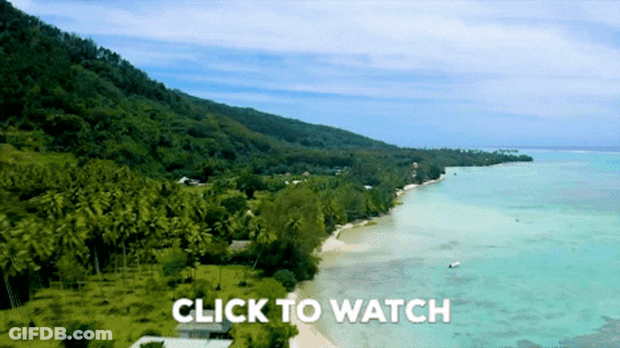 French Polynesia Beach Drone Shot GIF