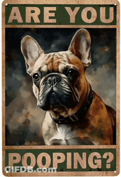 Frenchbulldog Meme GIF