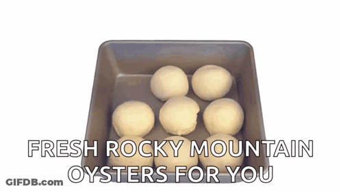 Fresh Rocky Mountain Oysters For You Is Written Above A Tray Of Dough GIF