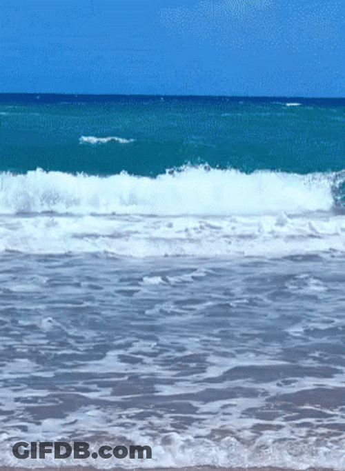 Fresh View Of Blue Wave GIF