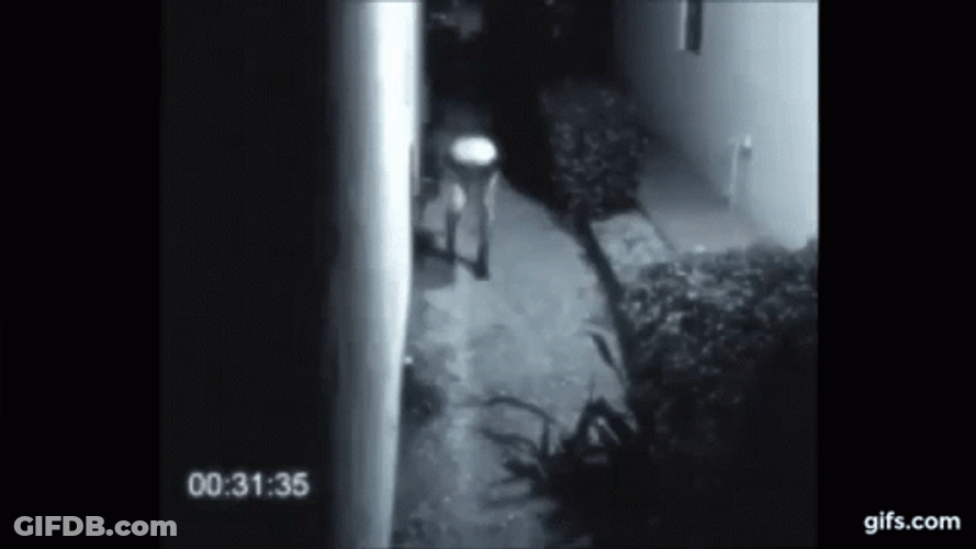 Fresno Nightcrawler Creeping In The Dark GIF