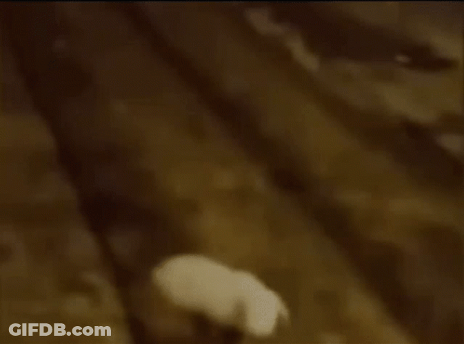 Fresno Nightcrawler Scary Half Body Running GIF