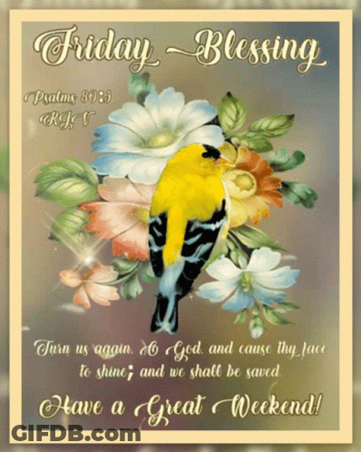 Friday Blessing Bird And Flowers GIF