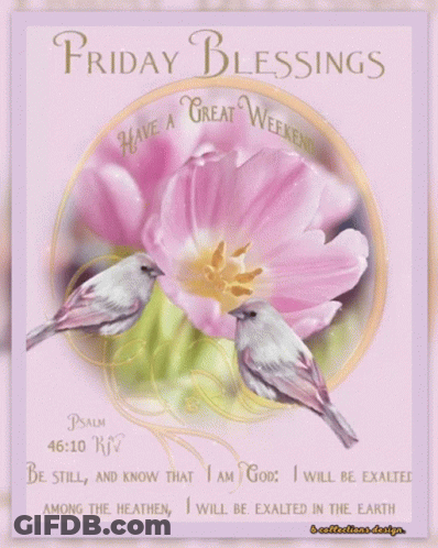 Friday Blessings Card With Pink Flower And Birds GIF